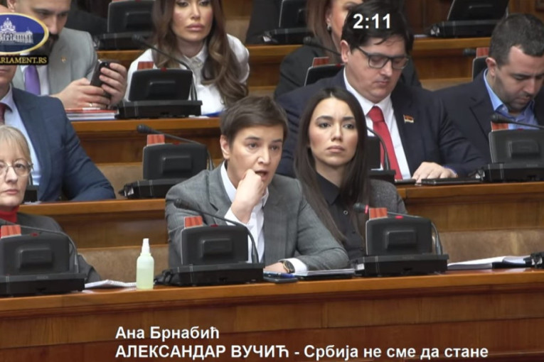 Brnabić: Ne postoji nijedna firma u Srbiji ni na svetu koja nosi moje prezime