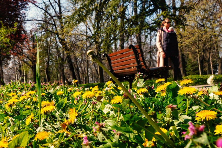Posle hladnog jutra stiže pravo prolećno sunce: Evo kolika će biti temperatura danas