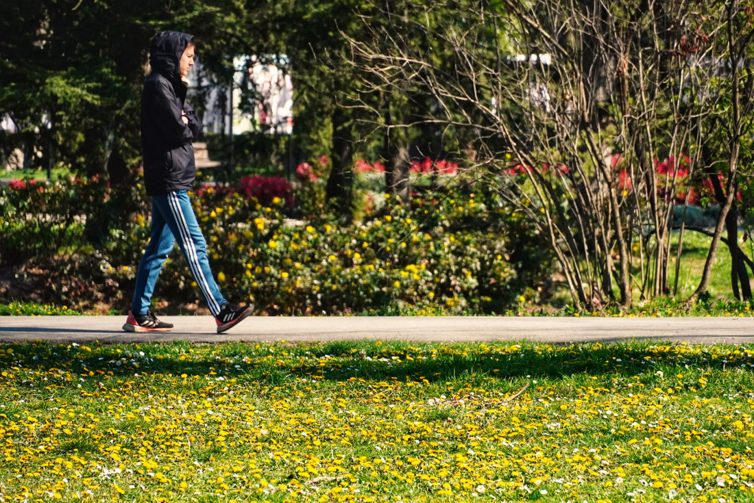Ujutru hladno: Po podne sunčano, do 15 stepeni