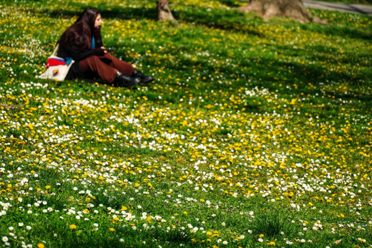 Prolećni dani u Srbiji: Sunčano, toplo i vetrovito, evo šta nas čeka narednih dana