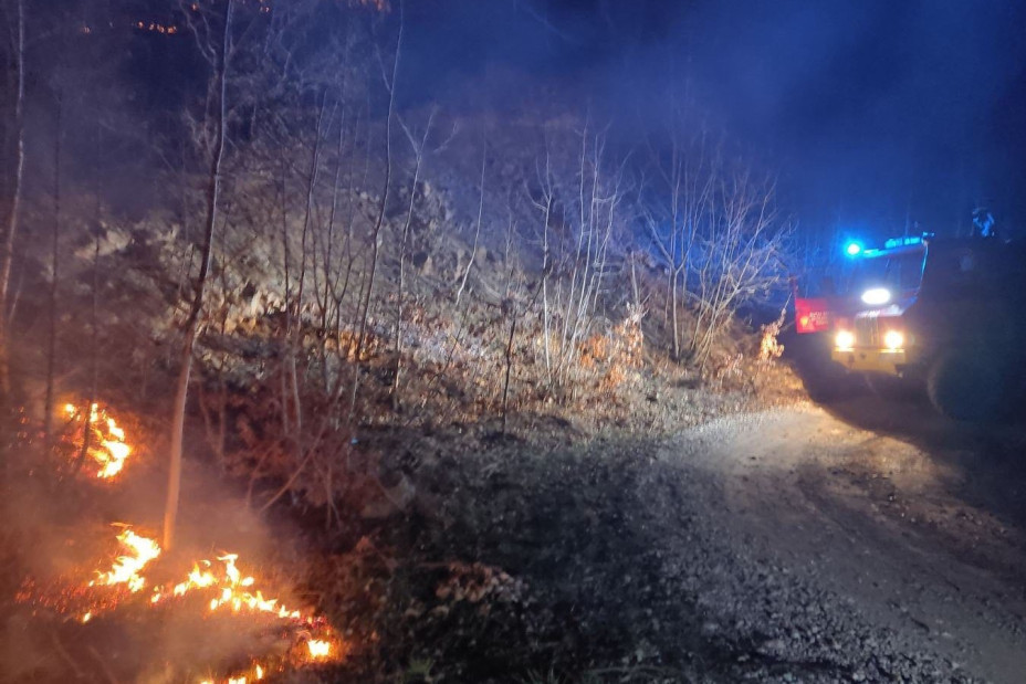 Veliki šumski požar kod Bijelog Polja: Borba sa vatrenom stihijom trajala satima! (FOTO)