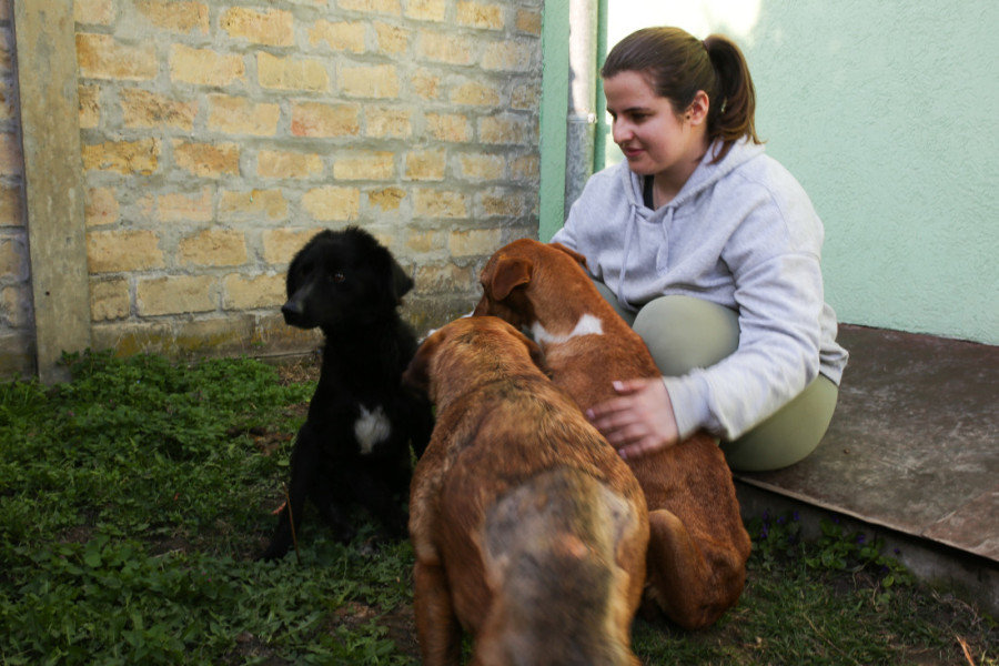 U Andreinom utočištu životinje su srećne i zbrinute: Nesebična devojka pruža im mnogo ljubavi, a sada joj je potrebna pomoć da nastavi
