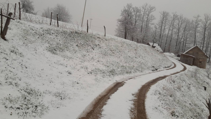 Mećava na Zlatiboru se ne šali: Sneg pada satima, formiran pokrivač od 10 centimetara (FOTO/VIDEO)
