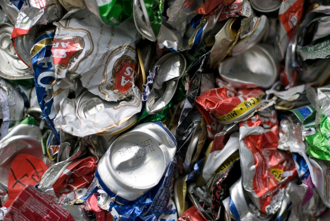 Umetnička dela od recikliranih limenki: Poziv na zaštitu životne sredine sa prvim danima proleća (FOTO)