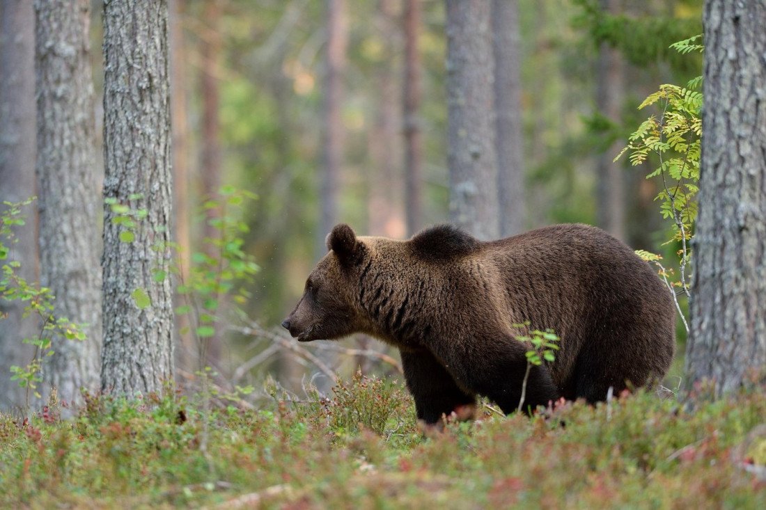 Ledena noć pred Srbijom: Mraz i temperature ispod nule, ali sutra stiže otopljenje