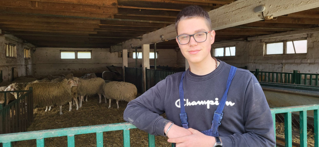 Škola u Svilajncu od dece pravi srpske domaćine: Đaci imaju farmu svinja i goveda, proizvode hranu koju jedu, a ostane i za prodaju! (FOTO)