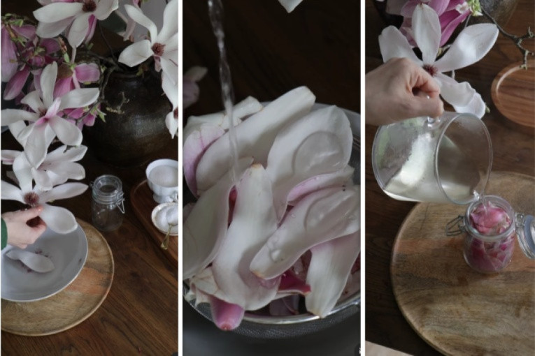 Ne samo da su lepi već su i neopisivo ukusni: Cvetovi magnolije idu i u slana i u slatka jela (VIDEO)