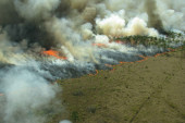 Pokrajinski sekretarijat za poljoprivredu, vodoprivredu i šumarstvo: Izdvojeno 20 miliona dinara za programe zaštite od požara