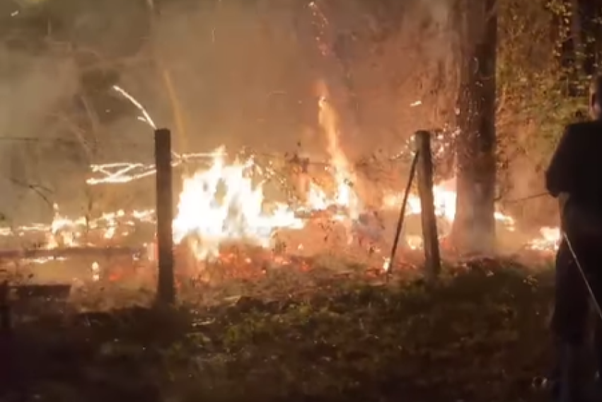 Požar kod Lučana i Deliblatske peščare! Vatra zahvatila šumu i nisko rastinje, vatrogasci na terenu (VIDEO)
