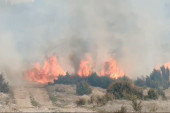 Šumski požar kod Prijepolja: Zahvatio površinu od 100 hektara, meštani u velikom strahu! (FOTO)