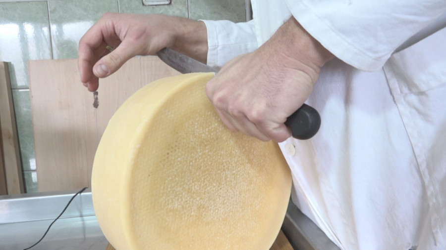 Beogradski asfalt zamenio srpskim selom: Mirko je somelijer koji u Gostilju pravi sir na alpski način (FOTO)