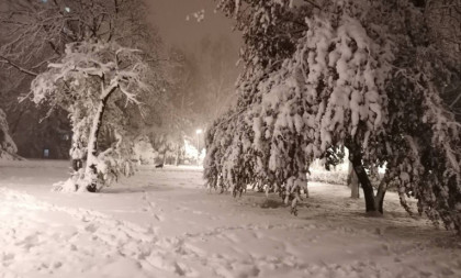 Nevreme pravi haos u Sloveniji: Jaki udari vetra, pao i sneg! (FOTO)