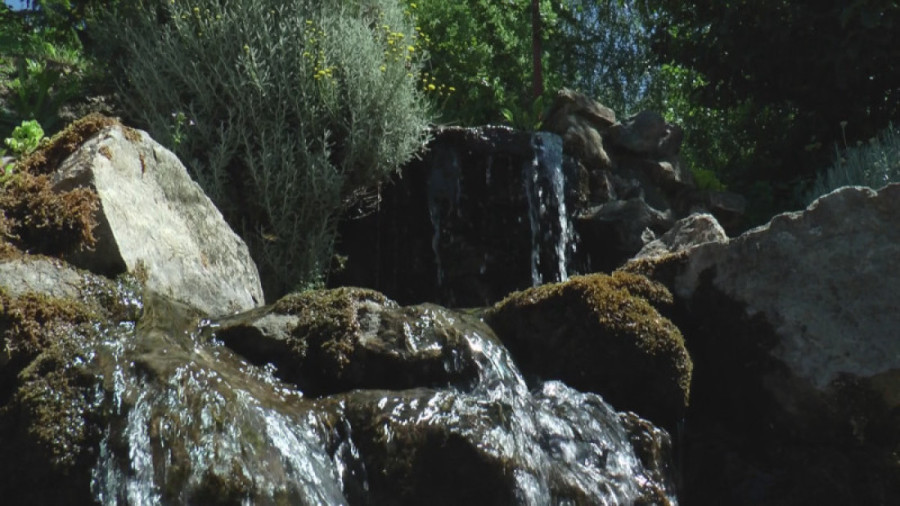 Biljana sa Rudnika je žena zmaj, u svom domaćinstvu ona je i menadžerka, i kuvarica i spremačica (FOTO)