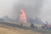 Bukti požar u selu Gostilje kod Zlatibora: Vatrogasci na terenu - vatrena stihija preti da zahvati obližnju šumu!