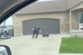 Tvrdoglava životinja namučila policajca: Snimak postao hit na društvenim mrežama (VIDEO)