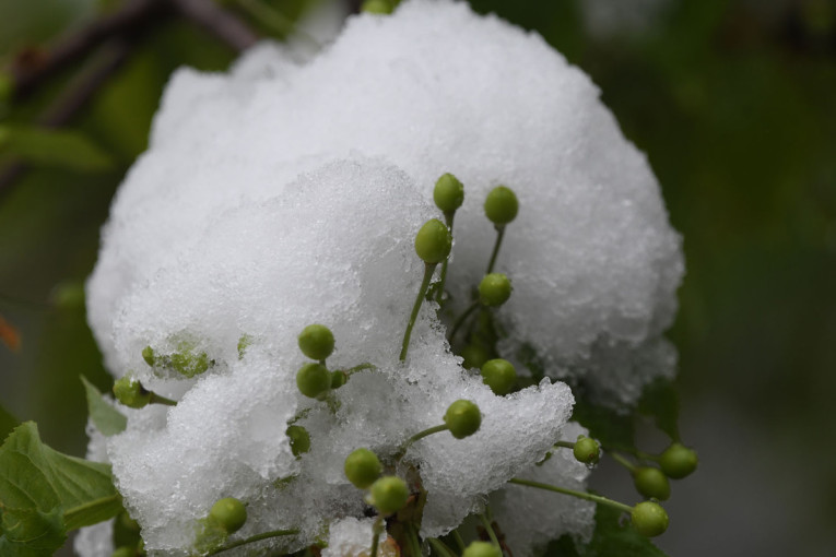 Prvi sneg pao u Novom Pazaru: Nadležne službe u pripravnosti