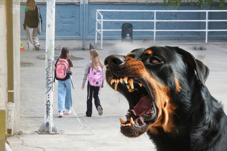 Uhvaćen pas koji je izujedao učenike u školi kod Niša