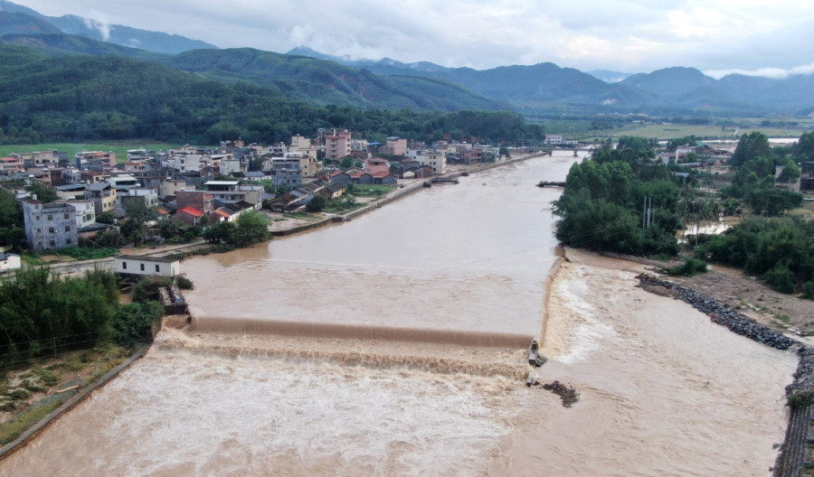 FAO pomoć poplavama oštećenim gazdinstvima u Srbiji