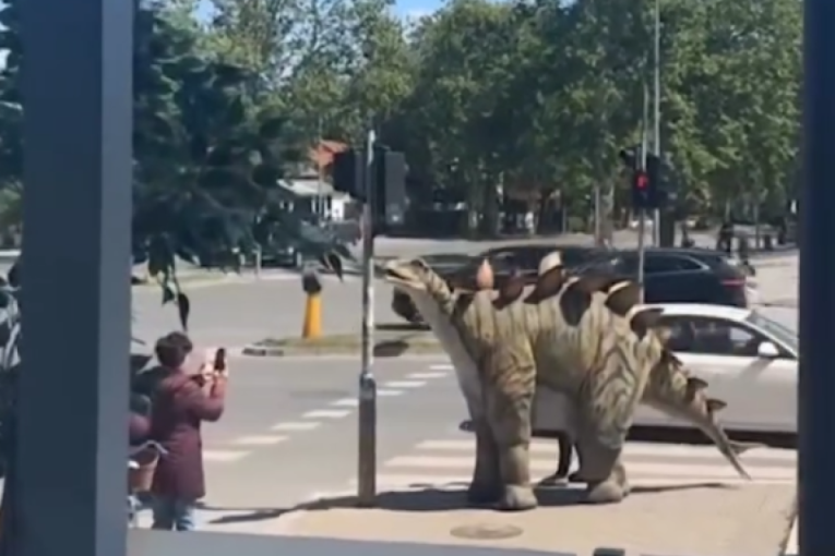 Stiglo proleće pa izašao da prošeta dinosaurusa! Hit snimak iz Novog Sada! (VIDEO)