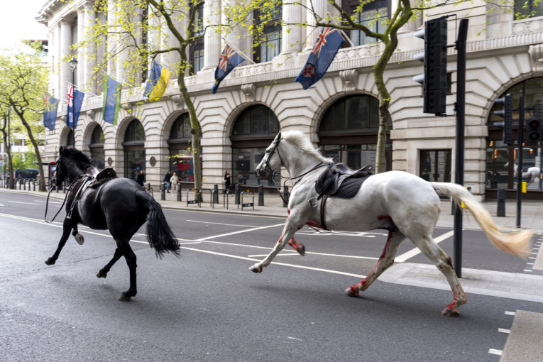 Šta se to dešava u centru Londona? Konji jure ulicama, jedan umazan krvlju (VIDEO/FOTO)