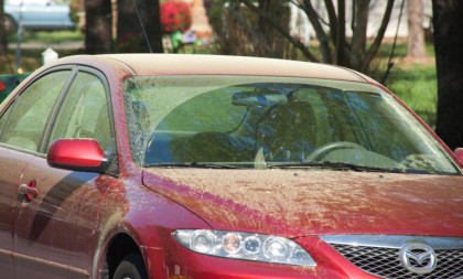 Auto parkiran na otvorenom može da osvane prekriven polenom: Čime ne smete da ga skidate jer ćete oštetiti lak na vozilu