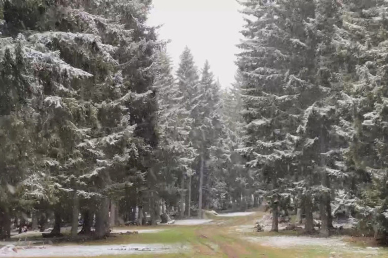 Zima u aprilu stisnula zube i ne pušta: Sneg veje na Goliji, prava decembarska idila na Odvraćenici (FOTO/VIDEO)