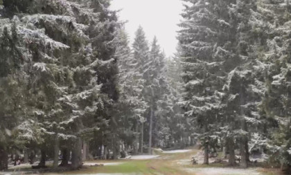 Zima u aprilu stisnula zube i ne pušta: Sneg veje na Goliji, prava decembarska idila na Odvraćenici (FOTO/VIDEO)