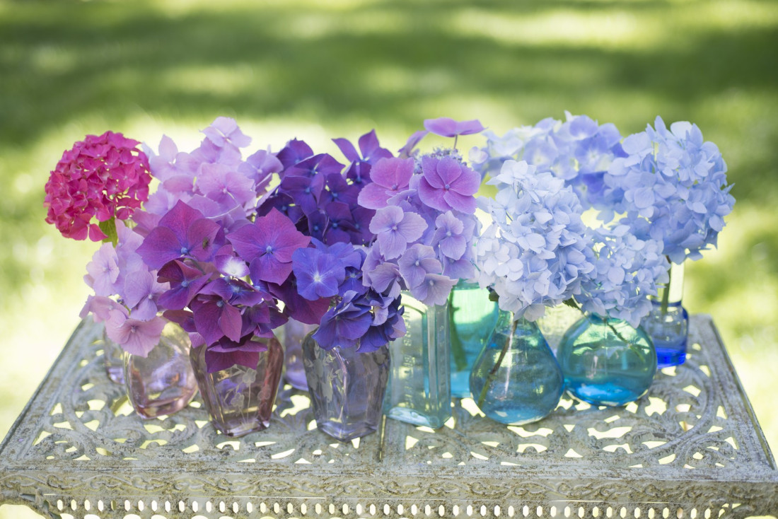 Večeras obavezno uradite jednu stvar! Poseban običaj za mlade uoči praznika Cveti