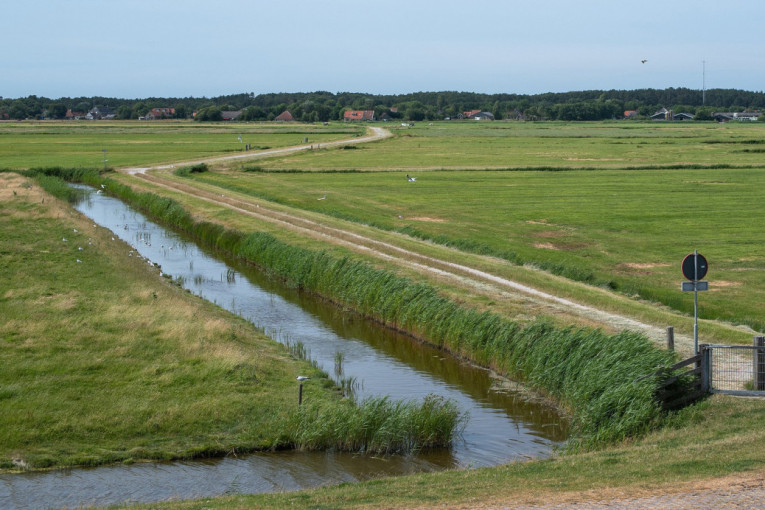 Iz flotacije pravo u Jablanicu: Uhapšen upravnik rudnika "Leće" (FOTO/VIDEO)