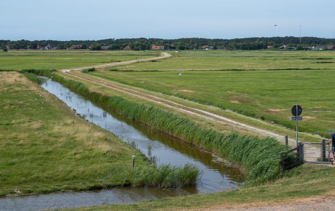 Mnogi nisu ni svesni da im preti kazna od 2 miliona dinara: Ako imate zemljište pored puta, obratite pažnju! Inspekcije kreću u akciju!