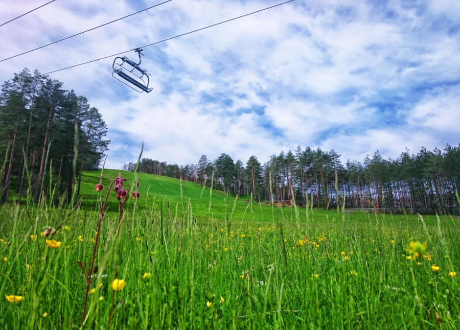 Velika akcija na Zlatiboru: Za deset godina na ovoj srpskoj planini napravljena ogromna promena