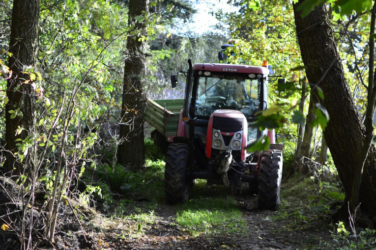 Panika u Mačvi! Domaćinstva na meti krvoločnih zveri iz šume