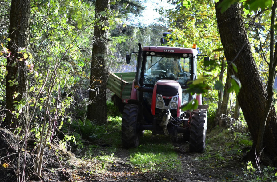 Hit scena na Zlatiboru: Krmača pobegla na magistralu, vlasnik prutićem pokušava da je vrati! (FOTO)