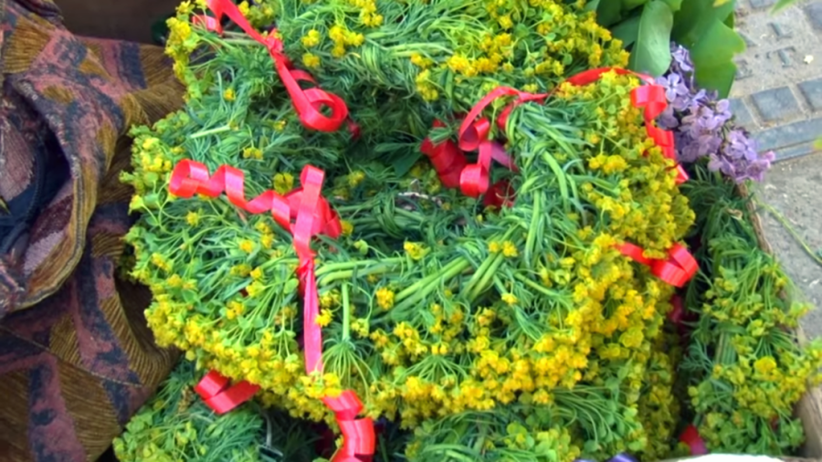 Mali ritual pred Đurđevdan koji menja sve: Unesite ovu biljku u kuću i novac vam je zagarantovan!