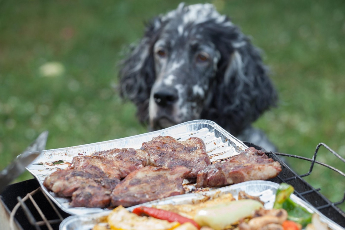 Neverovatan slučaj: Sude se zbog roštilja 20 godina!