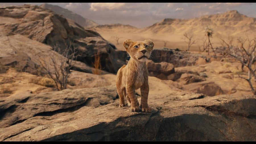 Održana beogradska premijera filma "Mufasa: Kralj lavova": Pogledajte ko se pojavio na crvenom tepihu (FOTO/VIDEO)