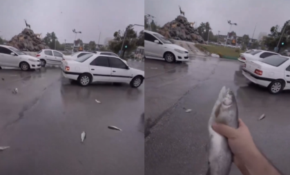 Ribe padale s neba u Iranu: Oluja ih pokupila, pa donela obilne poplave (VIDEO)