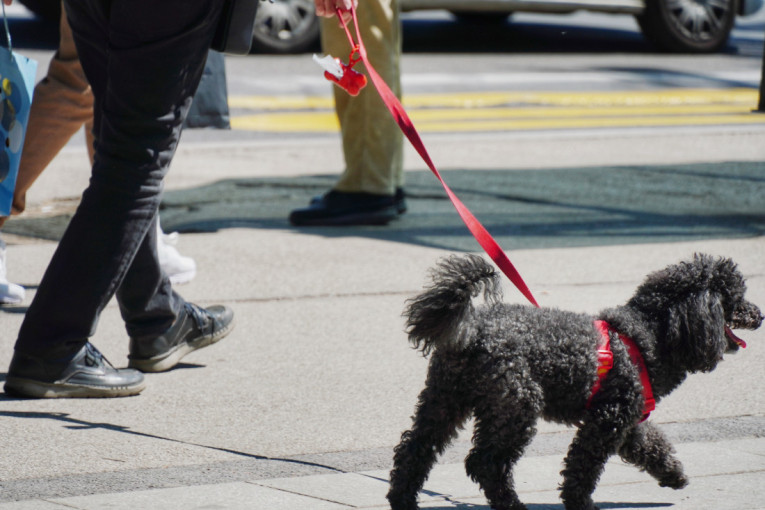 Pravo leto: Sunčano i toplo, do 36 stepeni