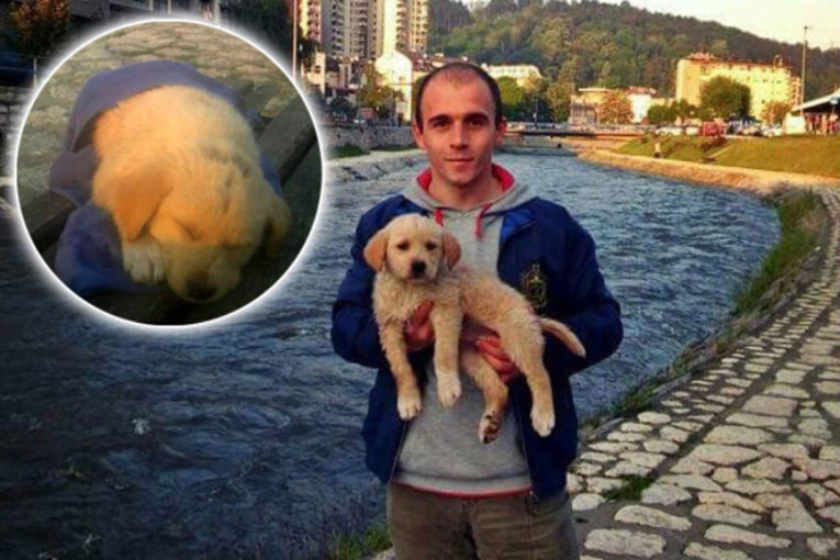 Skočio je u hladnu Đetinju i spasao štene sigurne smrti: 8 godina kasnije objavljena fotografija koja vraća veru u ljude!
