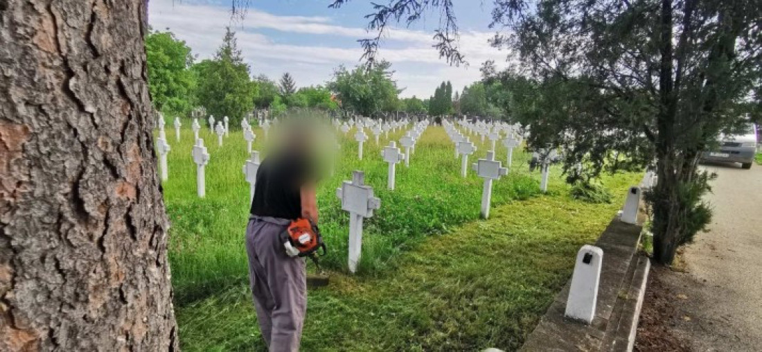 Osuđenici u Zaječaru čistili francusko vojno groblje: Ali ovo nije prvi put da učestvuju u ovakvim projektima