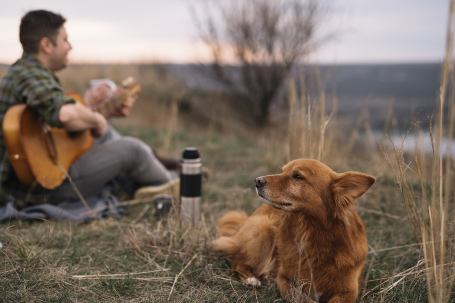 Najbolji vlasnici na svetu: Tri znaka Zodijaka vole svoje ljubimce kao rođenu decu - za njih bi učinili sve