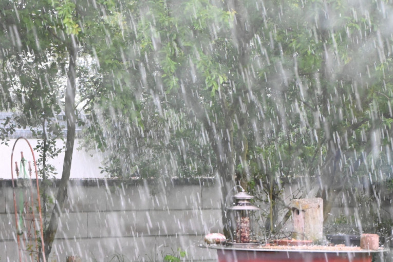 Otklanjaju se posledice nevremena: Najkritičnije bilo u Bačkoj Topoli i Bačkom Petrovcu - nestalo struje, popadalo drveće, tukao grad
