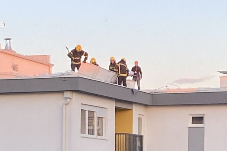 Požar na krovu zgrade u Novom Sadu! Zapalile se električne instalacije (FOTO/VIDEO)