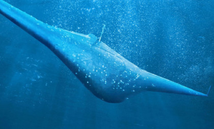 U tajnosti prave moćne podvodne dronove: Šta se do sada zna o američkoj "raži" i australijskoj "ajkuli"
