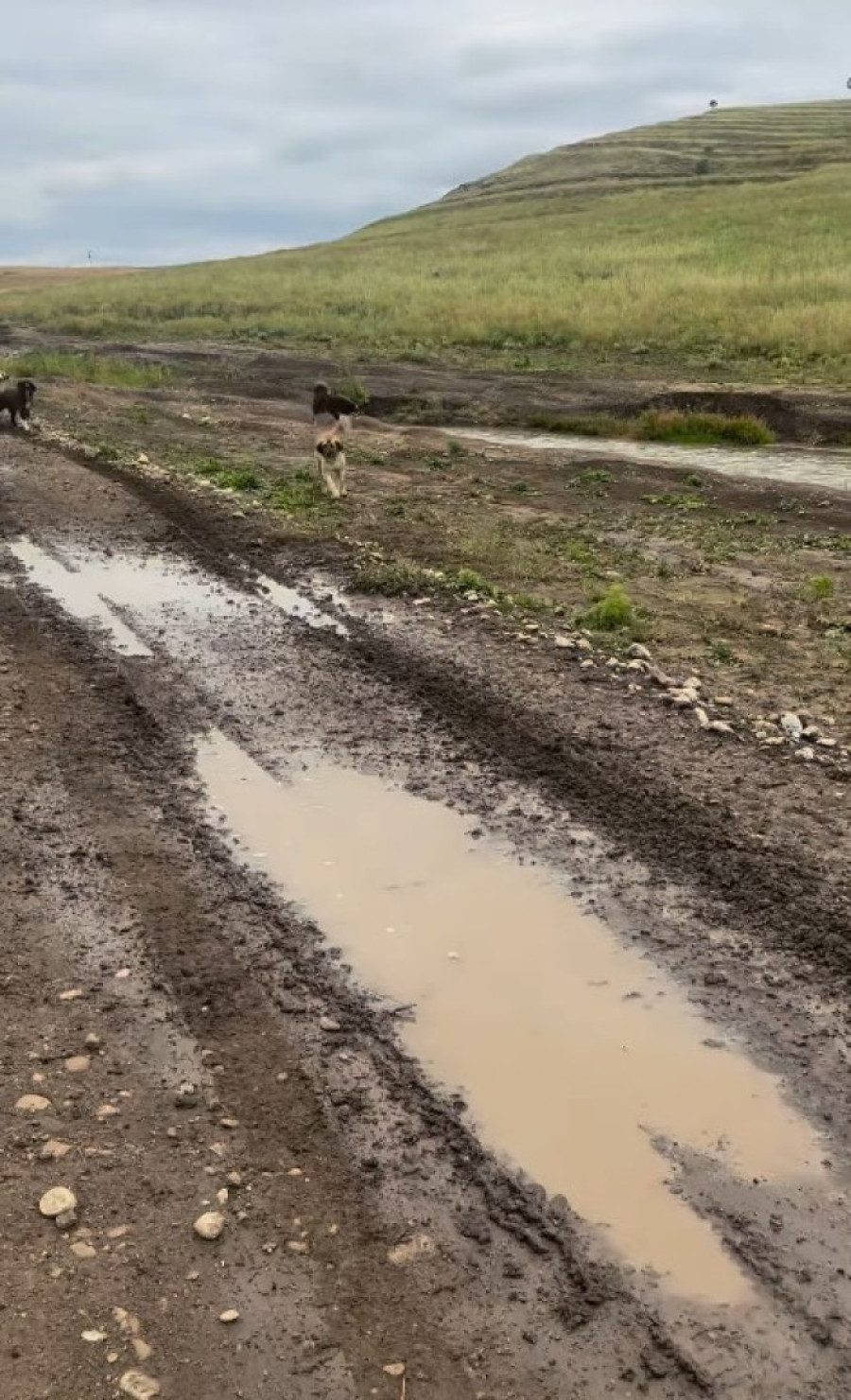 Dramatična situacija Nikole Rokvića na putu: U tom trenutku počinje borba za život! (VIDEO)