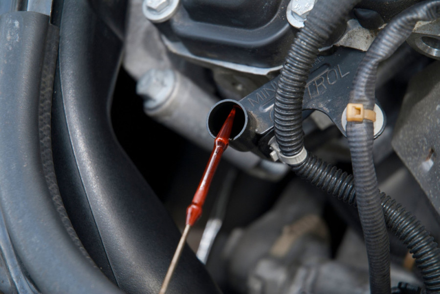 Automobili na udaru tropskih vrućina: Ovi saveti mogu spasiti vašeg ljubimca