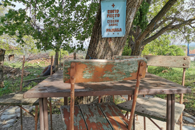 U srpskim selima i dalje postoji "drvo zapis": Kultno mesto koje štiti od nevremena i nesreće, a sveti krst urezuje se jednom godišnje