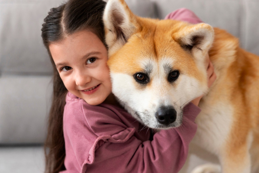 Ljubimci su sjajni kompanjoni tokom odrastanja: Pas ili mačka - šta je bolji izbor za vaše dete