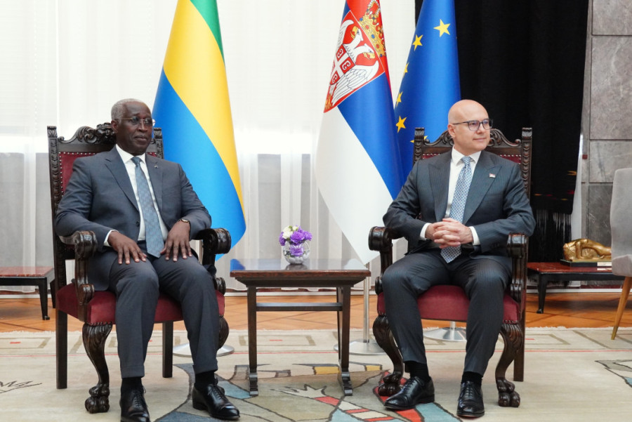 Vučević: Gabon neće glasati za rezoluciju o Srebrenici (FOTO/VIDEO)