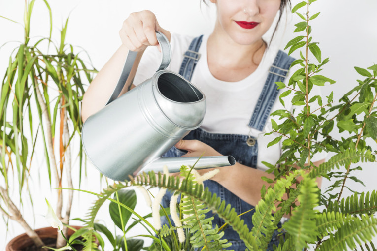Od smeća do blaga: Kad vidite za šta su sve korisne, nikad više nećete baciti ljuske od crnog luka